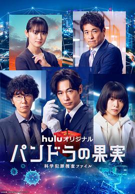 福州seo页面优化推广排名